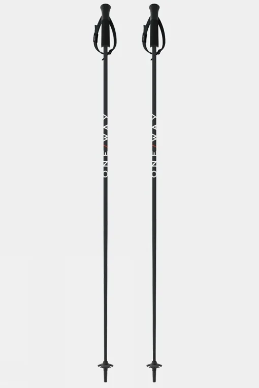 GTX 14 Asphalt Ski Poles (Pair)