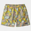 Mens Baggies 5" Shorts