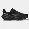 Mens Challenger 7 GTX Shoes