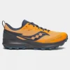 Mens Peregrine 14 GTX Shoes