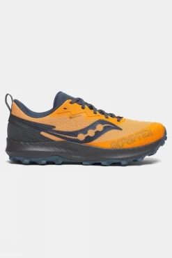 Mens Peregrine 14 GTX Shoes