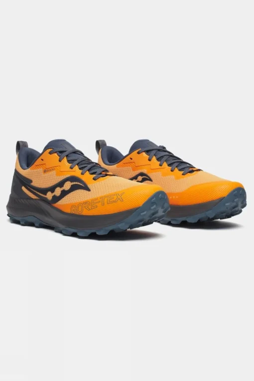 Mens Peregrine 14 GTX Shoes