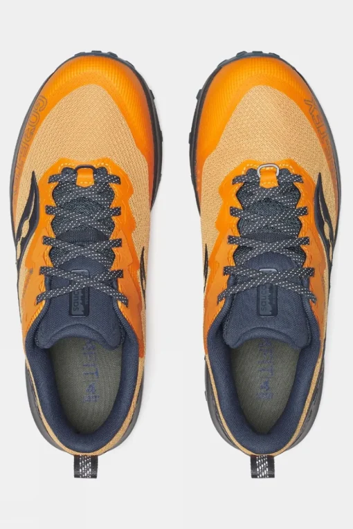 Mens Peregrine 14 GTX Shoes