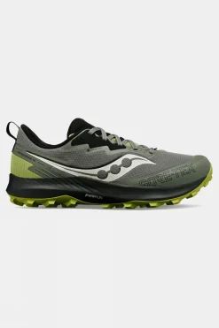 Mens Peregrine 14 GTX Shoes