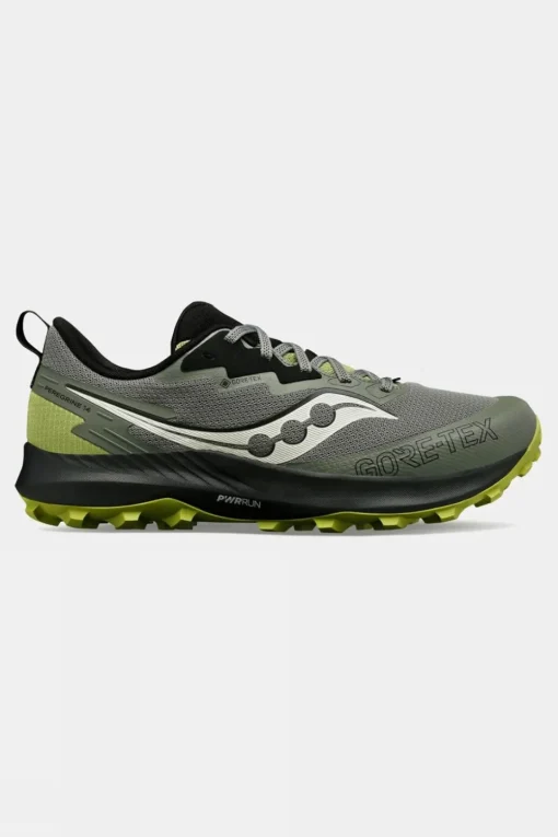 Mens Peregrine 14 GTX Shoes