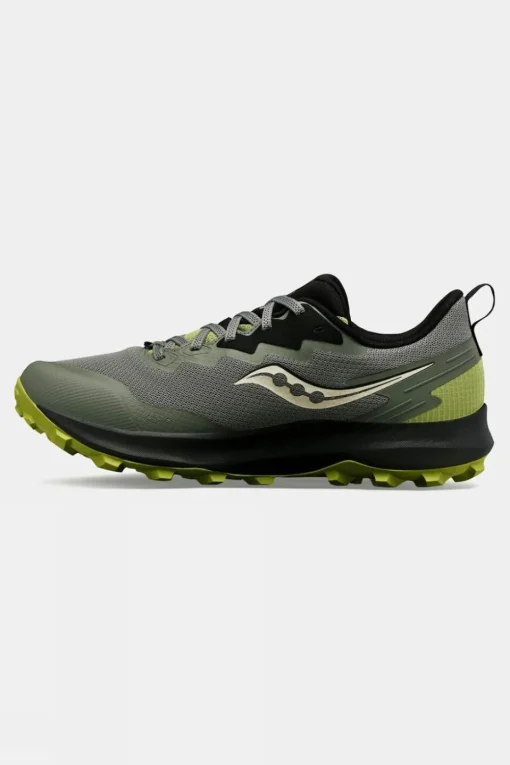 Mens Peregrine 14 GTX Shoes