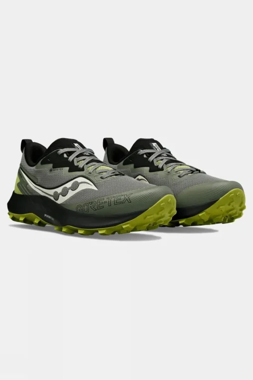 Mens Peregrine 14 GTX Shoes