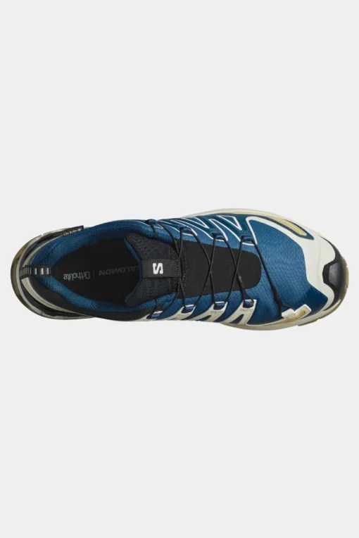 Mens XA Pro 3D V9 GTX Shoes