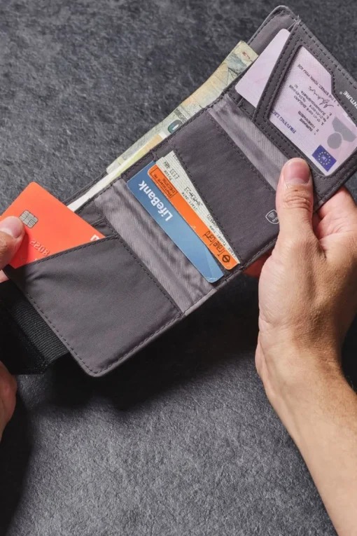 RFiD Wallet