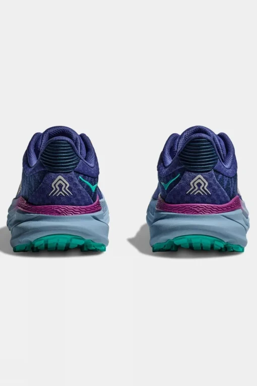 Womens Challenger ATR 7 Shoes