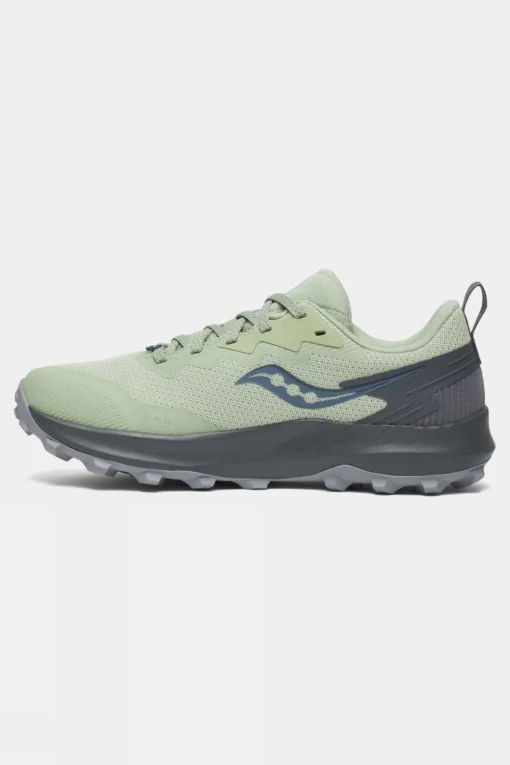 Womens Peregrine 14 GTX Shoes