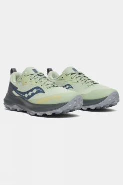 Womens Peregrine 14 GTX Shoes