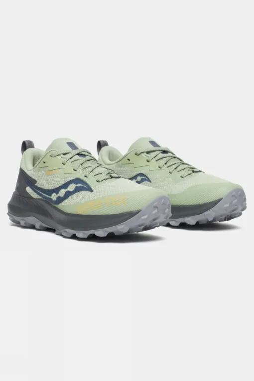 Womens Peregrine 14 GTX Shoes