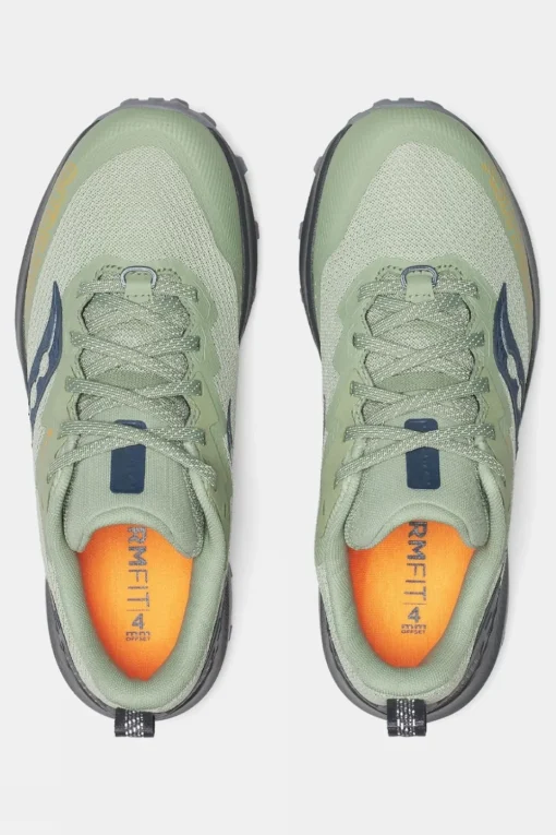 Womens Peregrine 14 GTX Shoes