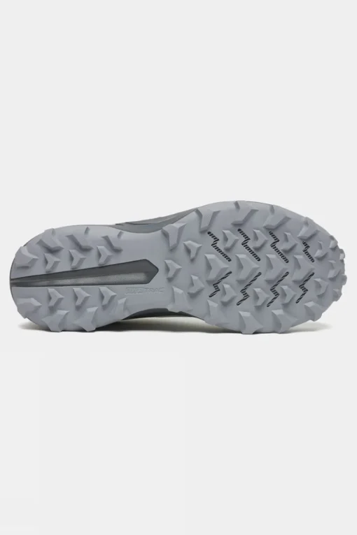 Womens Peregrine 14 GTX Shoes