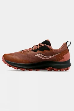 Womens Peregrine 14 GTX Shoes