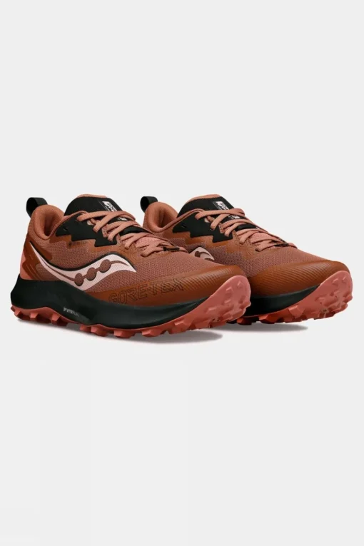 Womens Peregrine 14 GTX Shoes